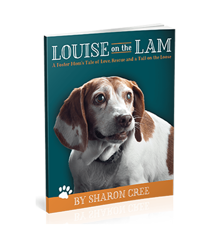 Louise on the Lam, <em>A Foster Mom’s Tale of Love, Rescue and a Tail on the Loose</em>